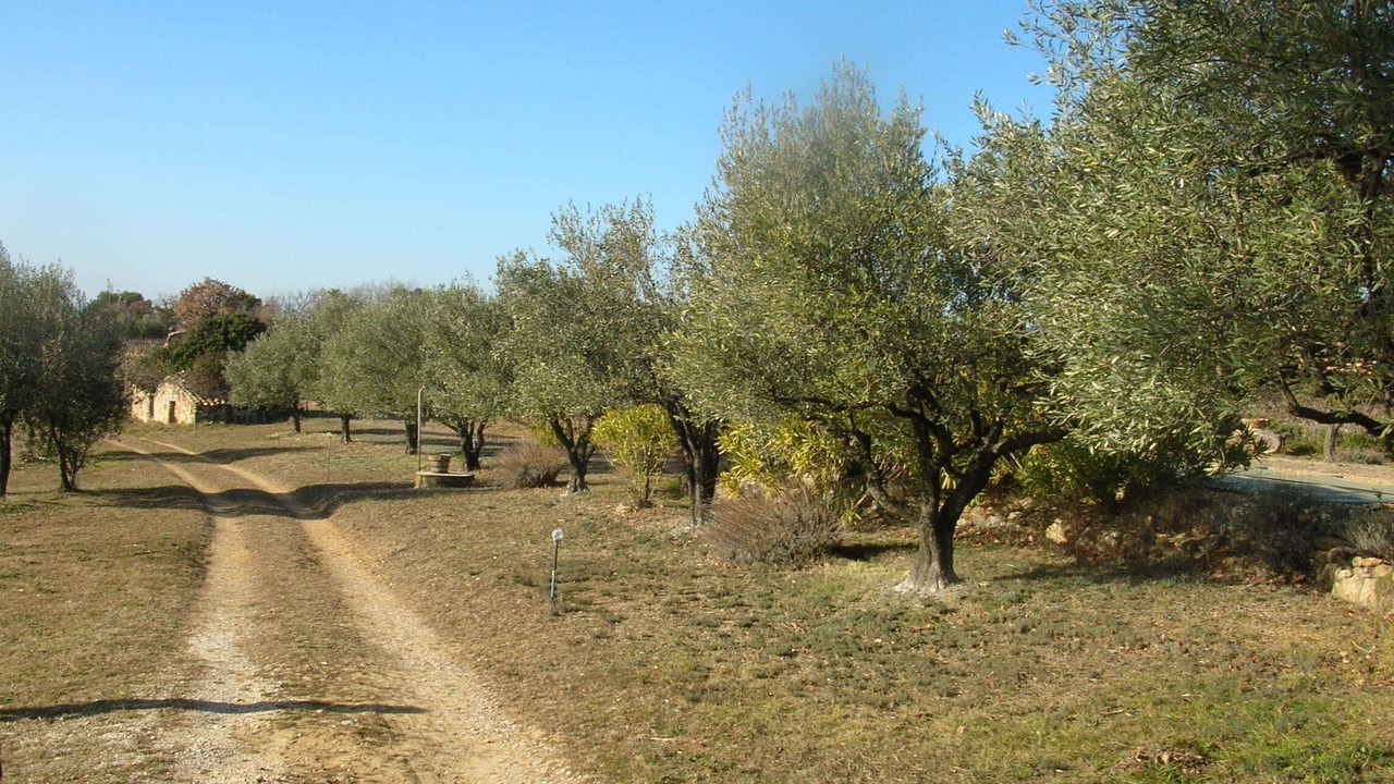 Photo of Outdoor in Merindol-les-Oliviers