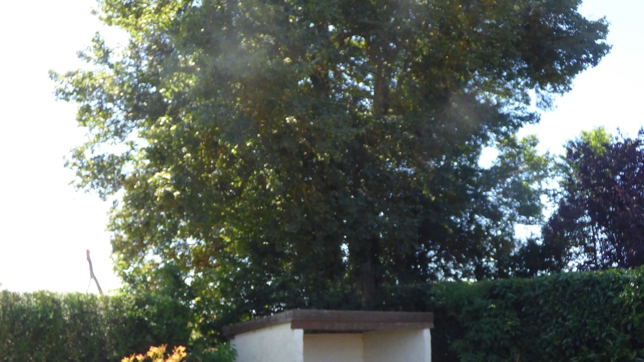 Photo of Outdoor in Pullay