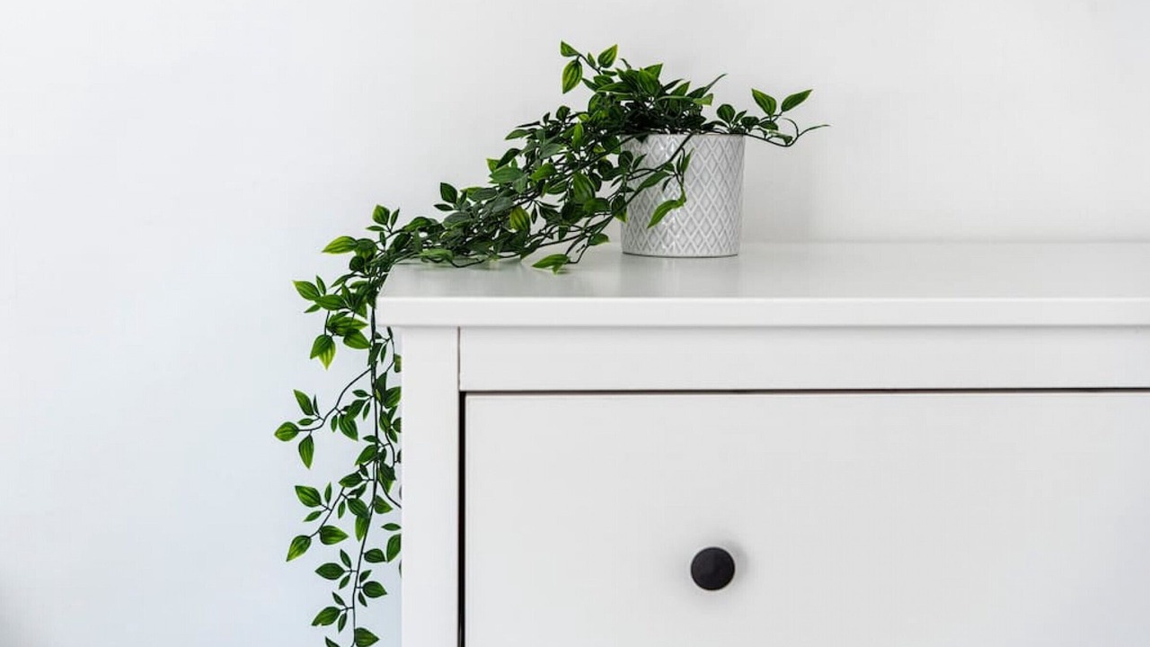 Photo of Others in Ollerton