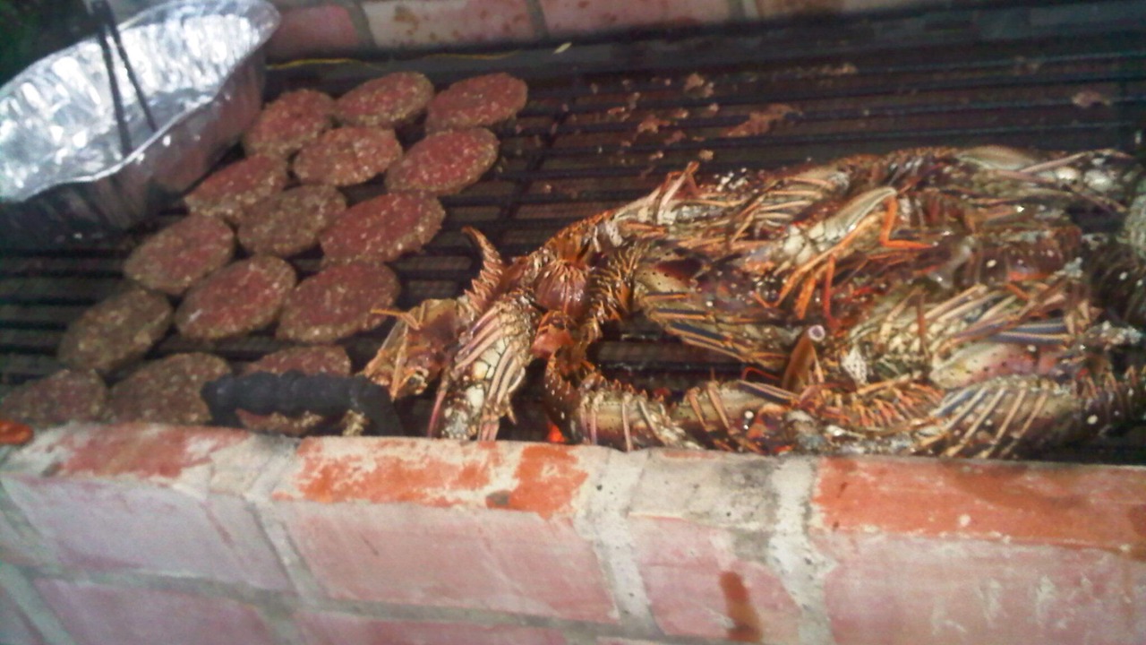 Photo of Others in Sabana Palenque