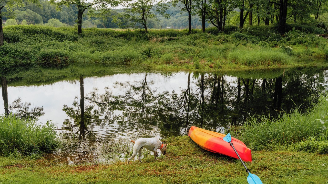 Photo of Others in Milanville