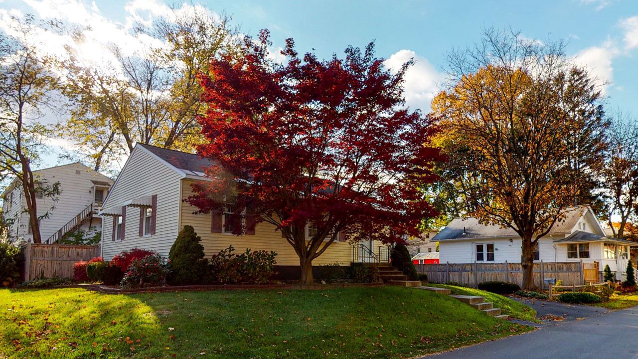 Photo of Outdoor in McKownville