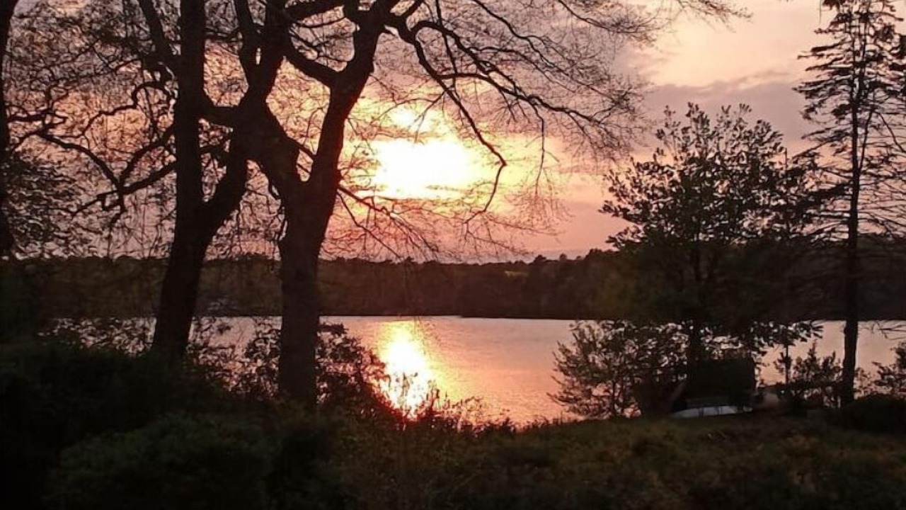 Photo of Others in Mashpee
