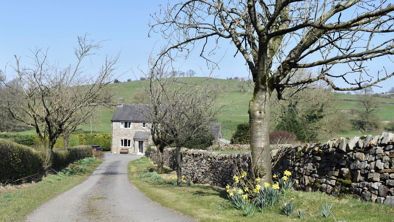 Photo of Others in Leek