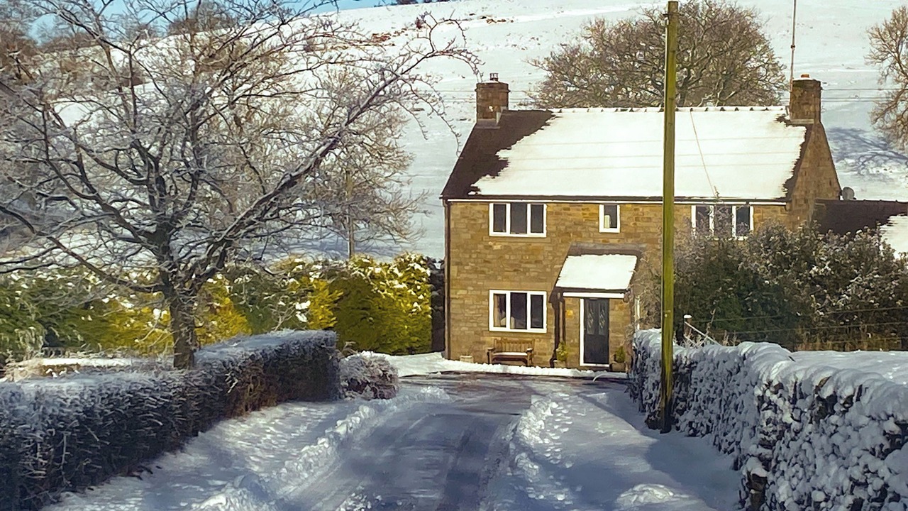 Photo of Others in Leek