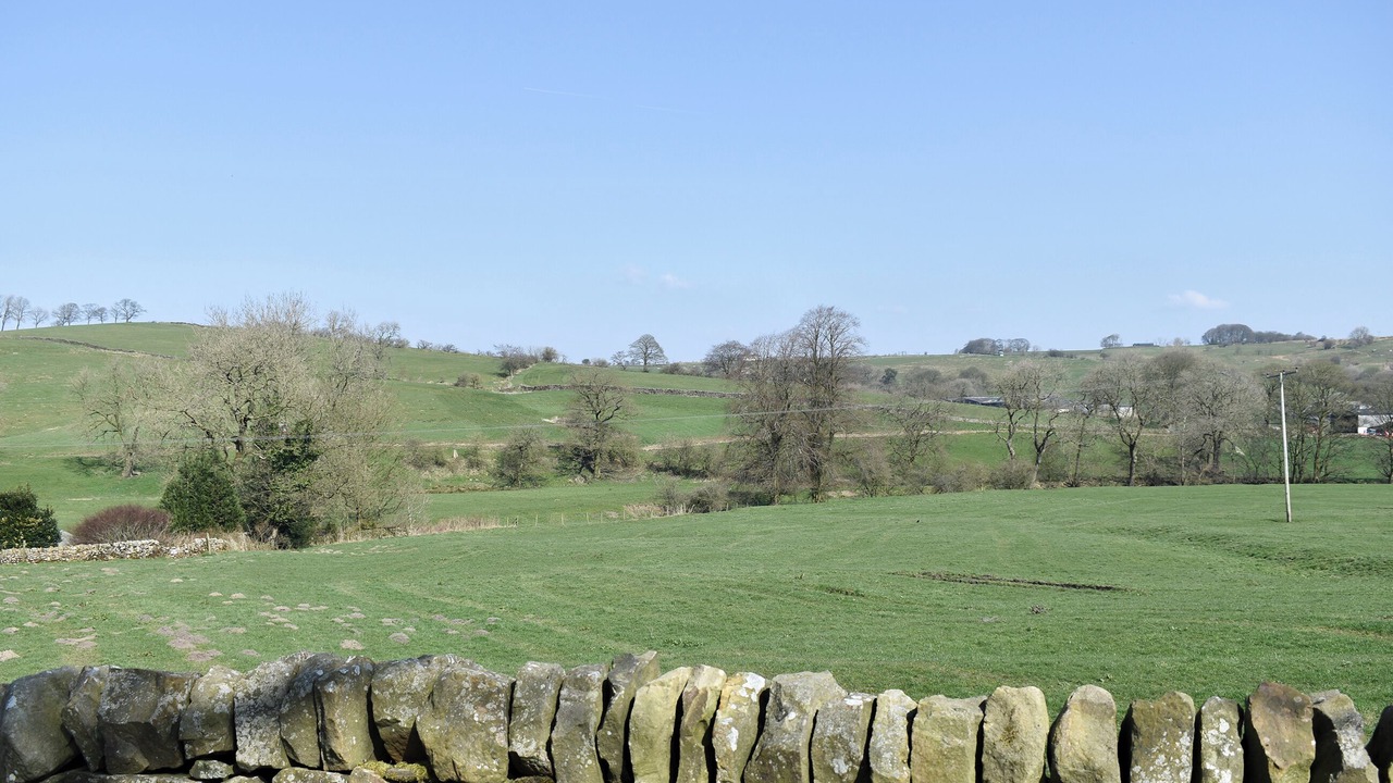 Photo of Others in Leek