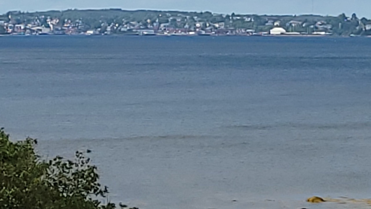 Photo of Others in Feltzen South