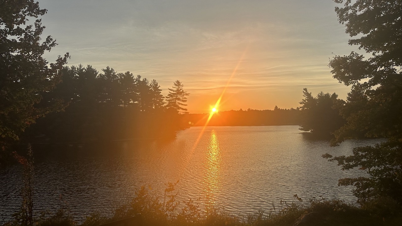 Photo of Others in Potsdam