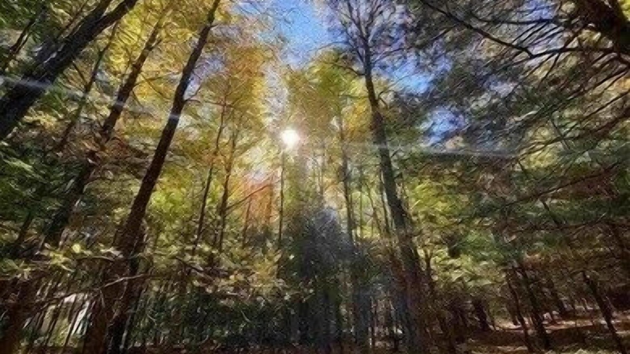 Photo of Others in Potsdam