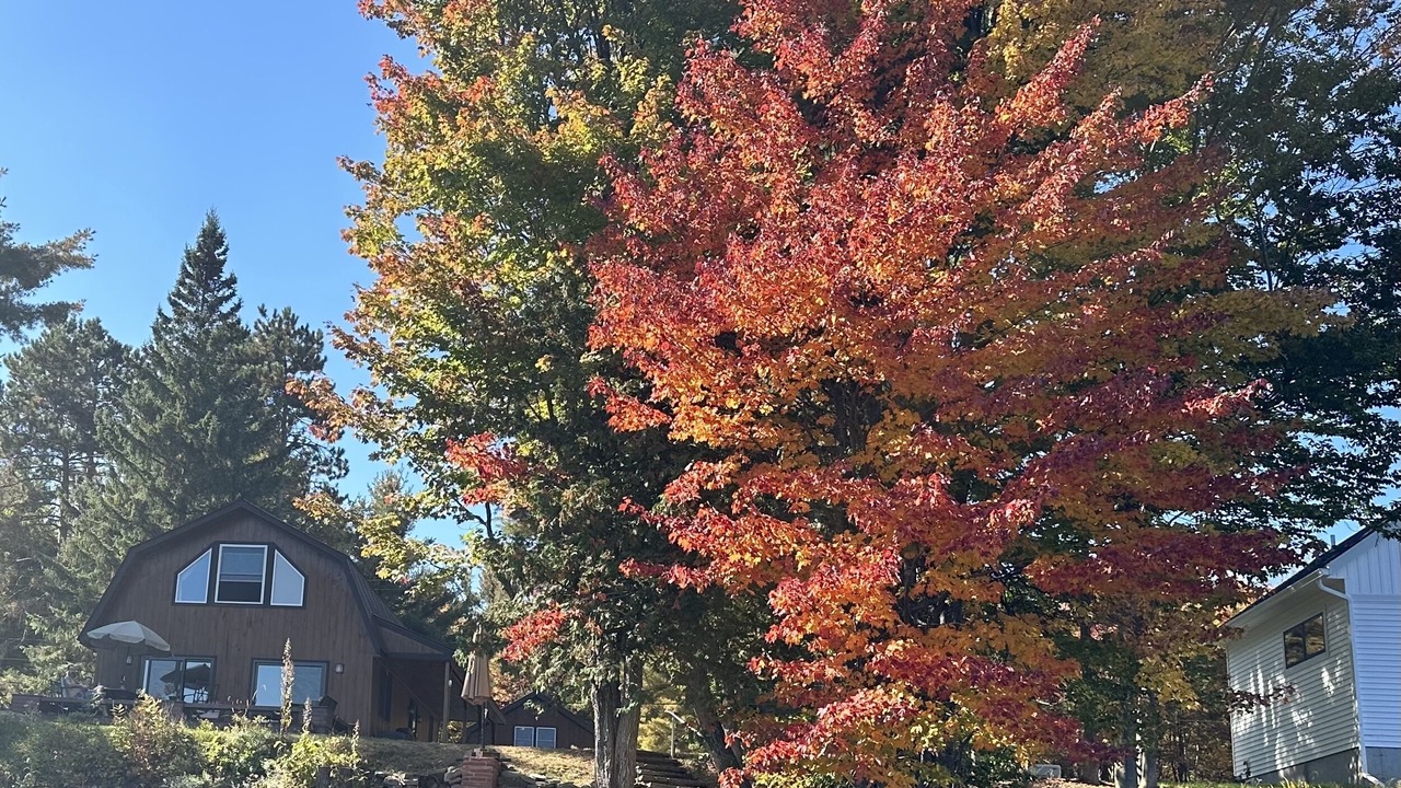 Photo of Outdoor in Potsdam