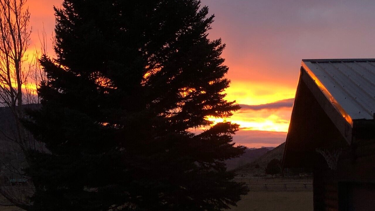 Photo of Outdoor in Cody