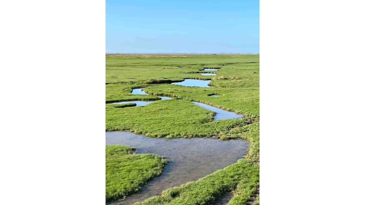 Photo of Others in Abbeville