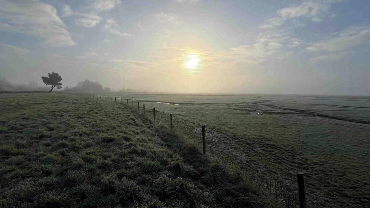 Photo of Others in Abbeville