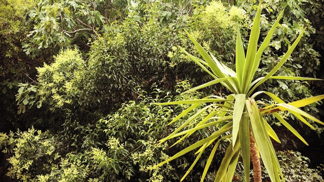 Photo of Outdoor in Gares