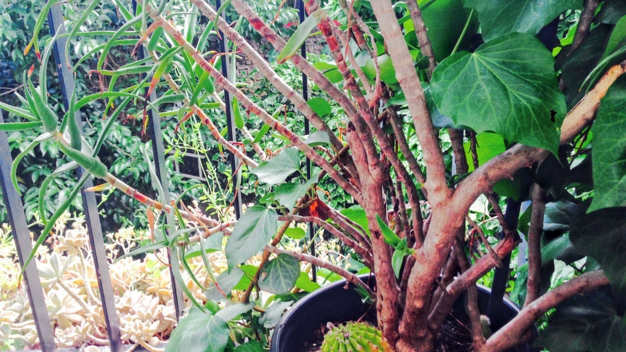 Photo of Outdoor in Gares