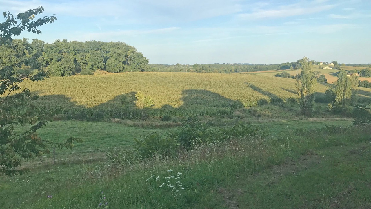 Photo of Others in Eymet