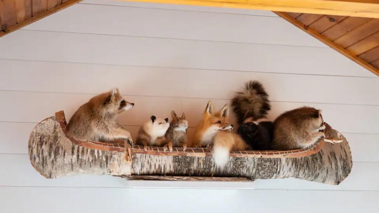 Photo of Others in Jasper