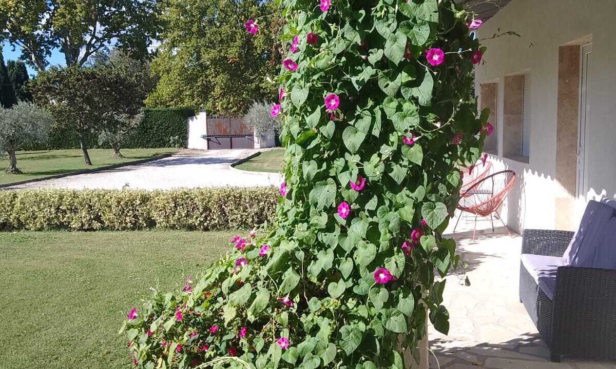 Photo of Patio Balcony in Eygalieres