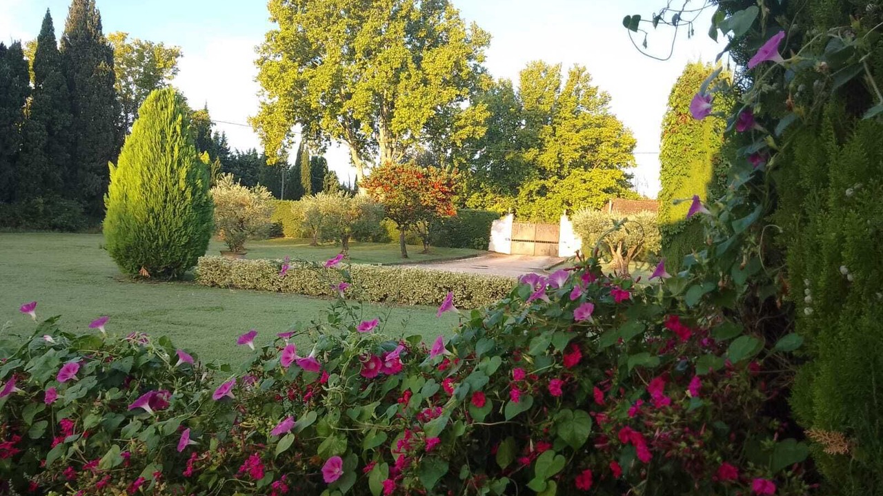 Photo of Outdoor in Eygalieres