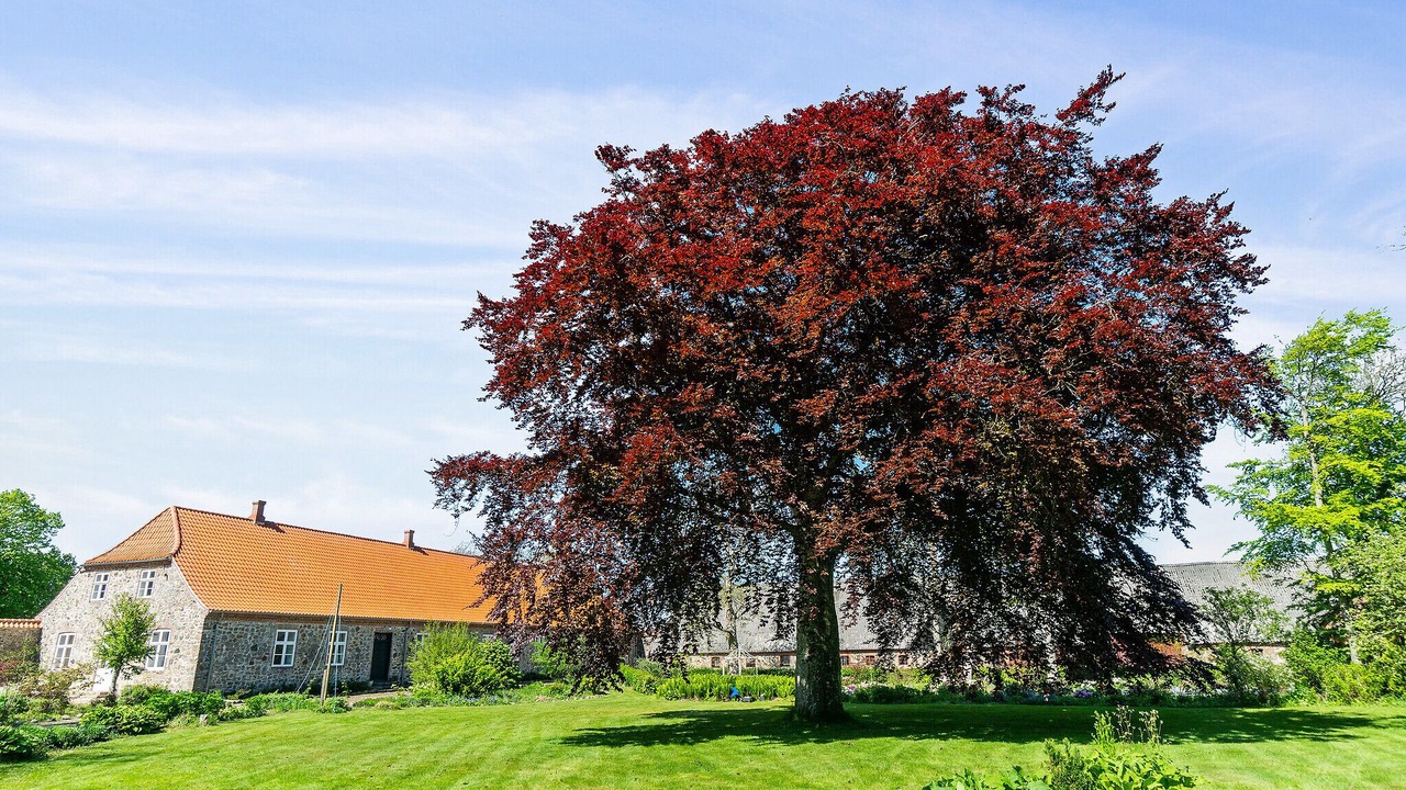 Photo of Outdoor in Ronbjerg