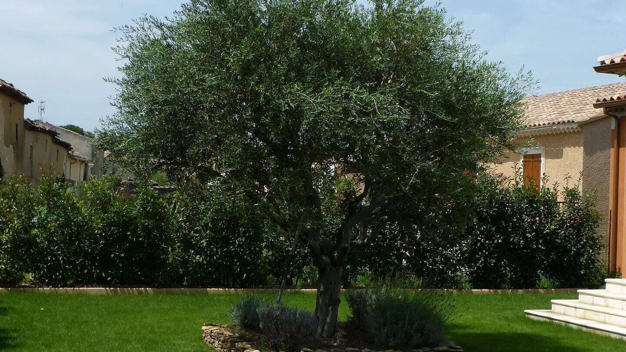 Photo of Outdoor in Lapalud