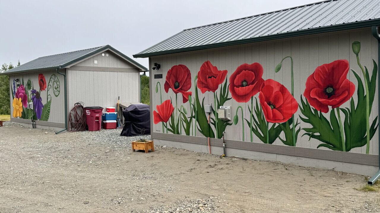 Photo of Outdoor in Palmer