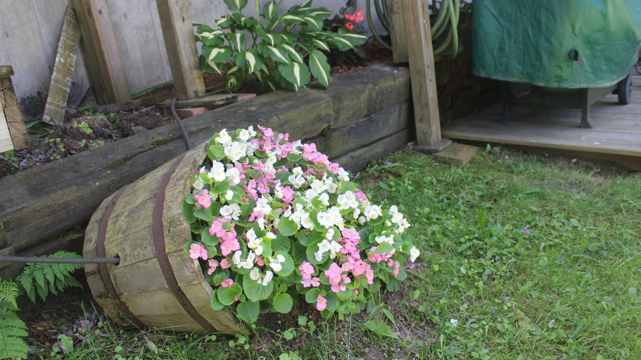 Photo of Outdoor in Sunapee