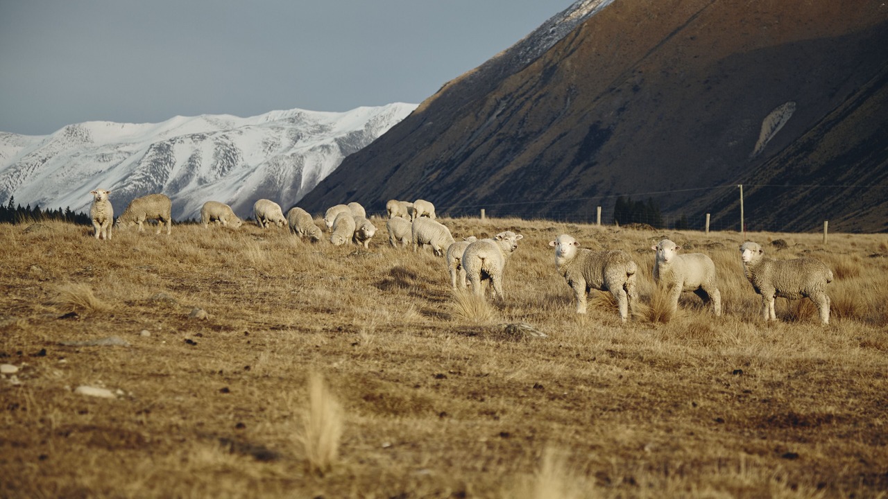 Photo of Outdoor in Ben Ohau