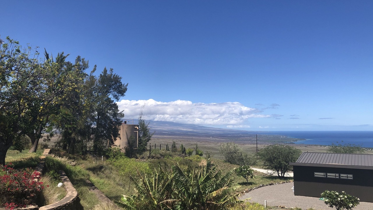 Photo of Outdoor in Kamuela