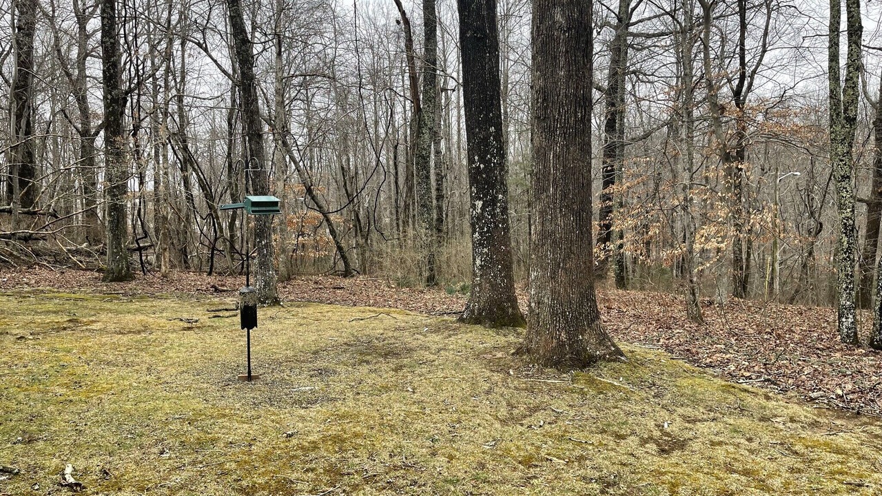 Photo of Outdoor in Saint Andrews