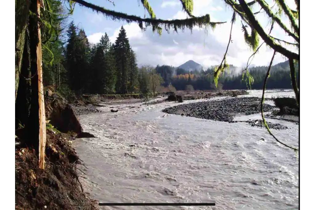 Photo of Others in Ashford