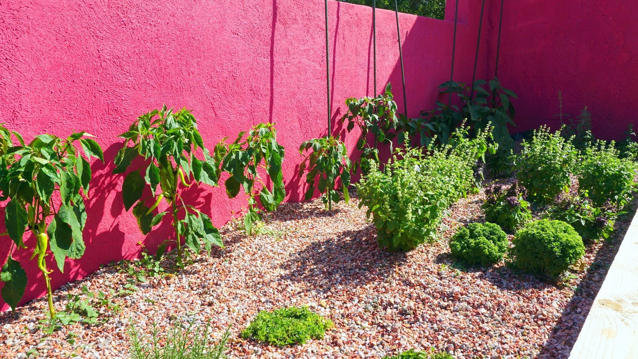 Photo of Outdoor in Vendres