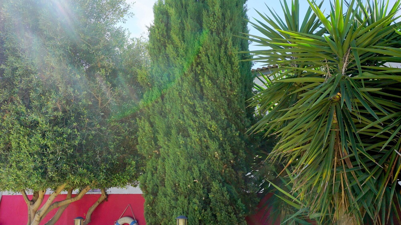 Photo of Outdoor in Vendres