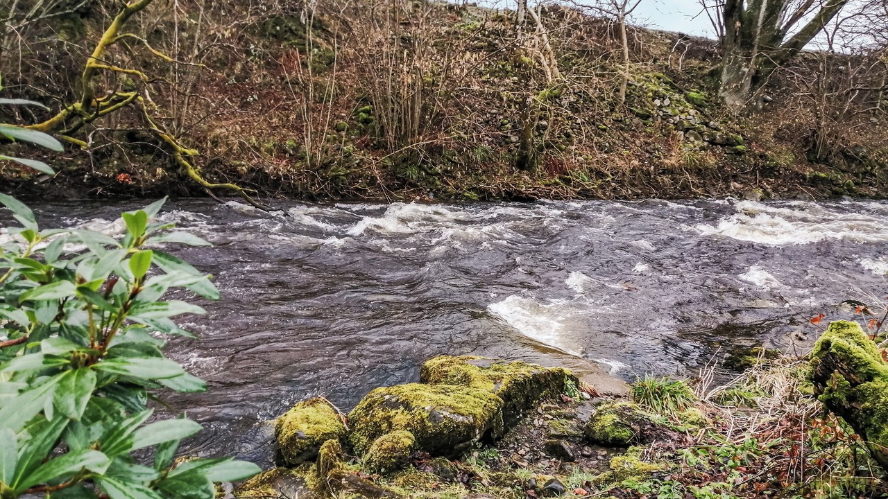 Photo of Others in Aberfeldy