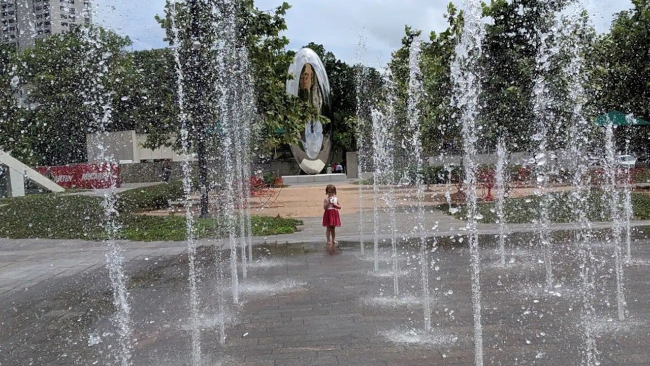 Photo of Others in South Central Houston
