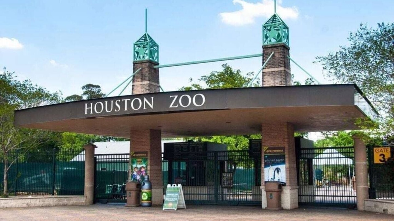 Photo of Others in South Central Houston