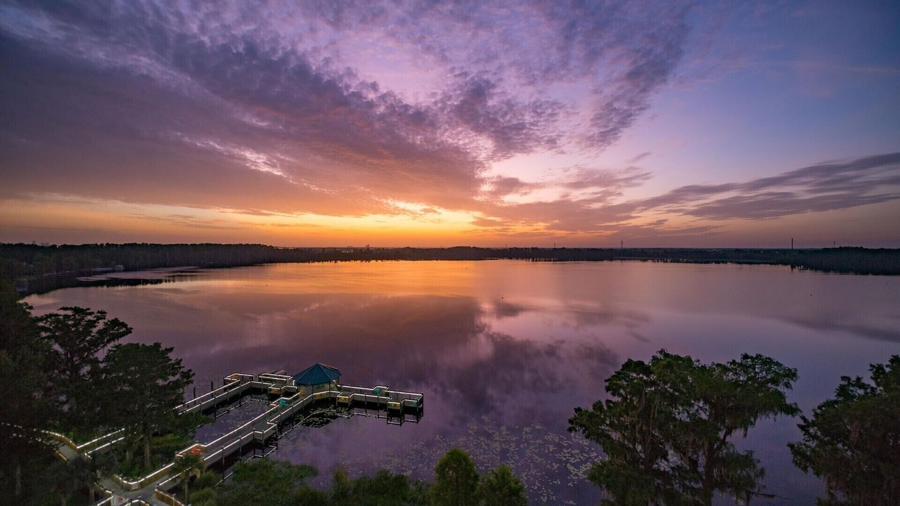 Photo of Others in Florida Central Atlantic Coast