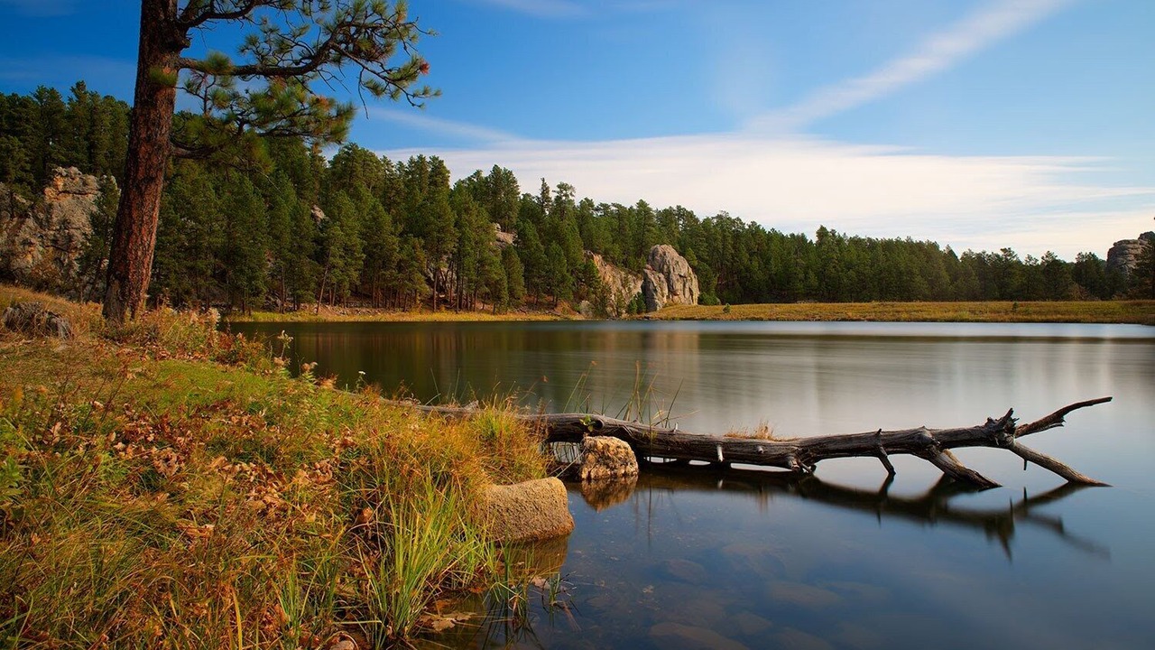 Photo of Others in Custer