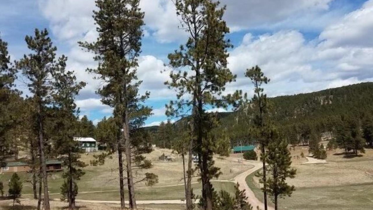 Photo of Others in Custer