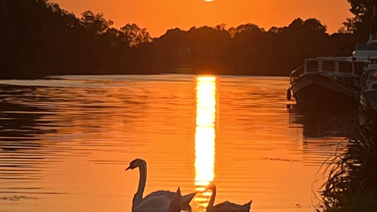 Photo of Others in Taillant