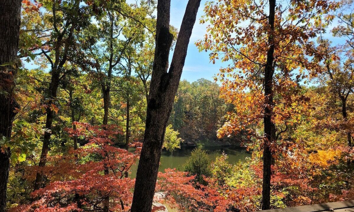 Photo of Outdoor in Innsbrook