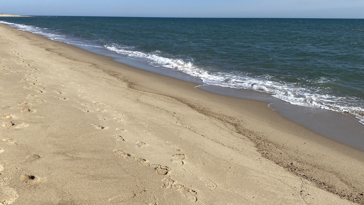 Photo of Others in Mashpee