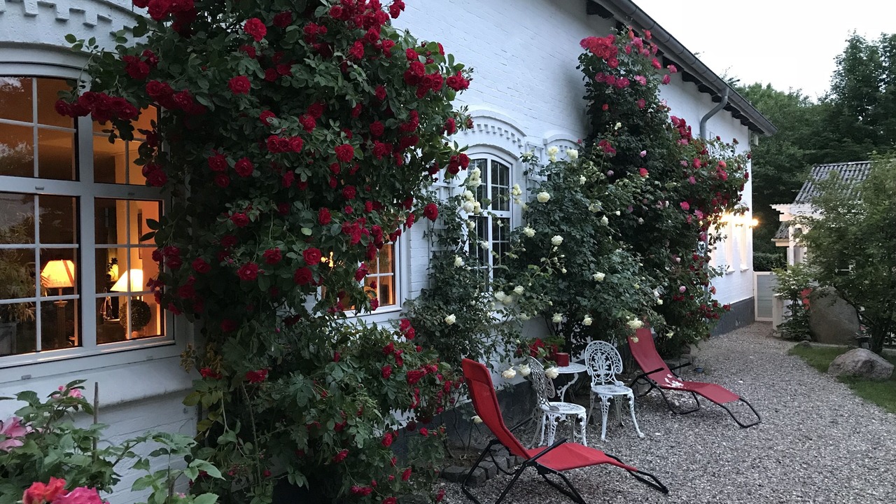 Photo of Patio Balcony in Broager
