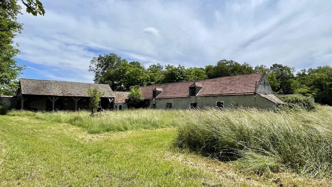 Photo of Outdoor in Conde-sur-Vesgre