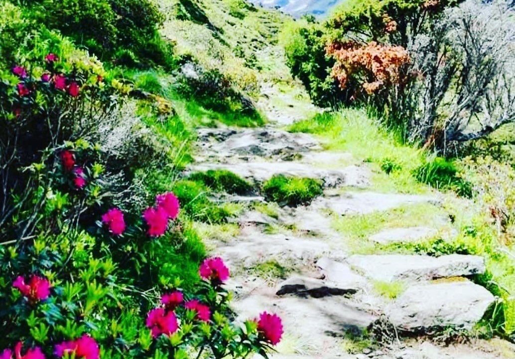 Photo of Outdoor in Tarascon-sur-Ariege