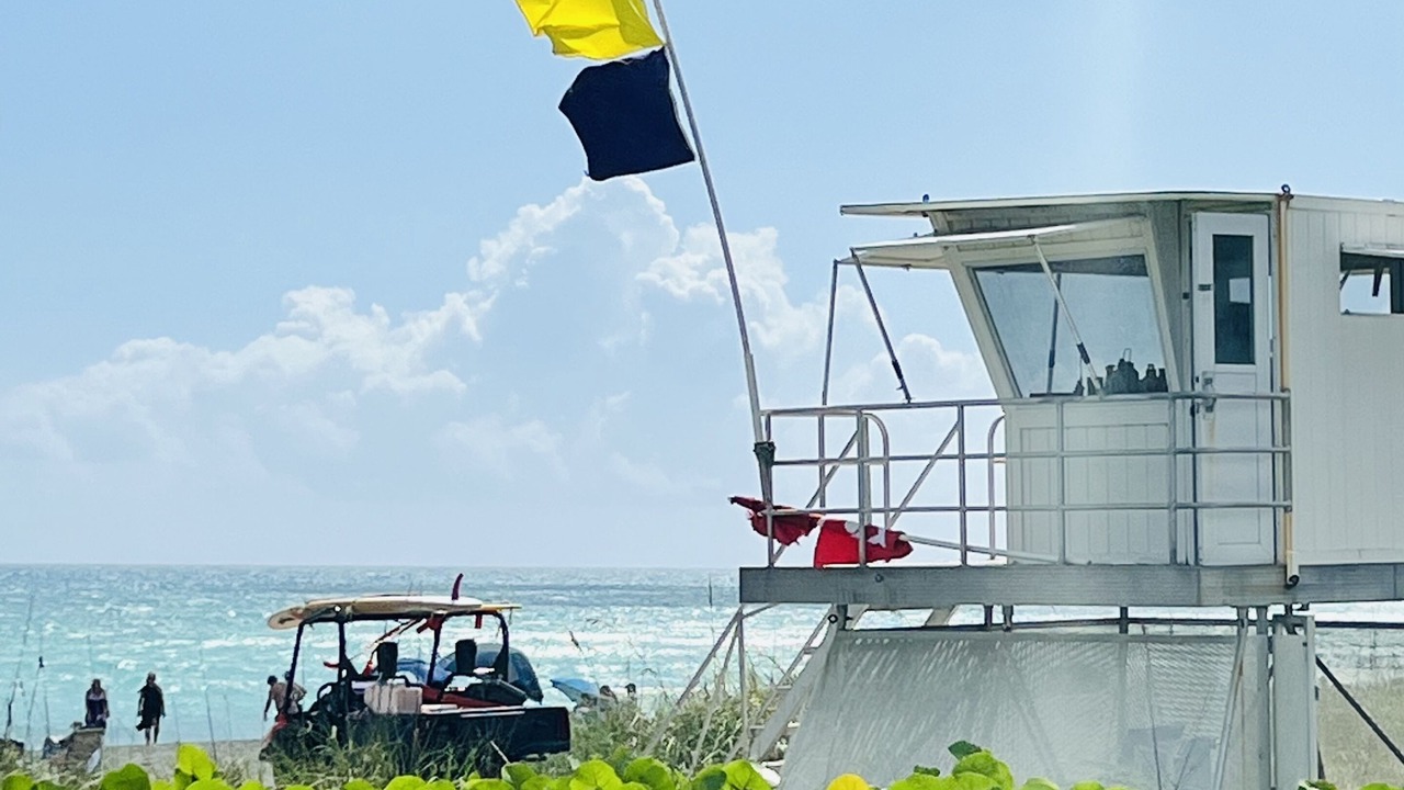 Photo of Others in Hobe Sound