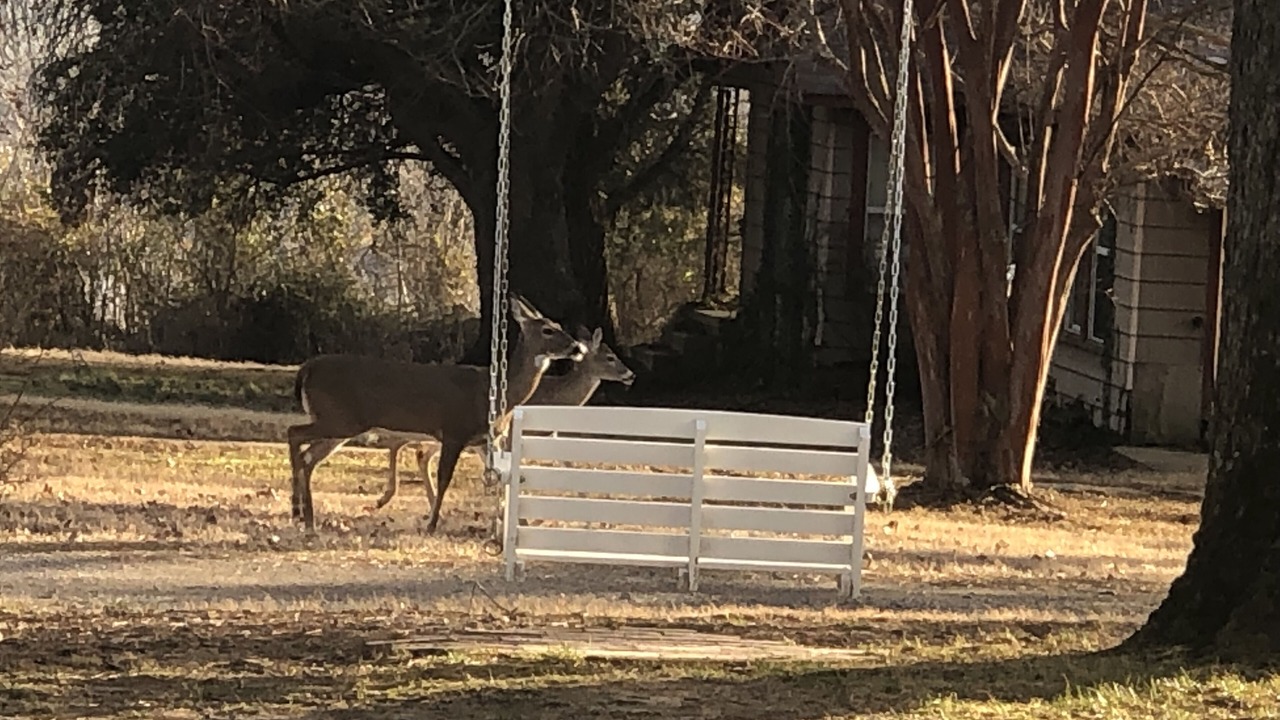 Photo of Others in Van Buren