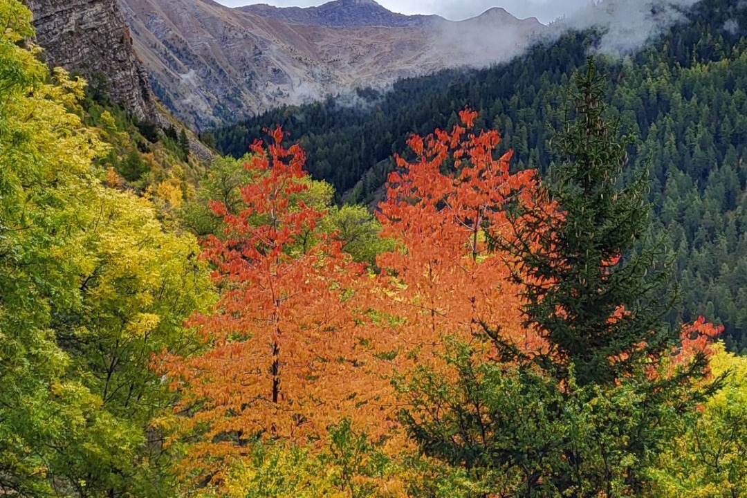 Photo of Outdoor in Les Orres