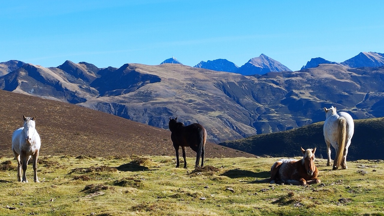 Photo of Outdoor in Boo-Silhen