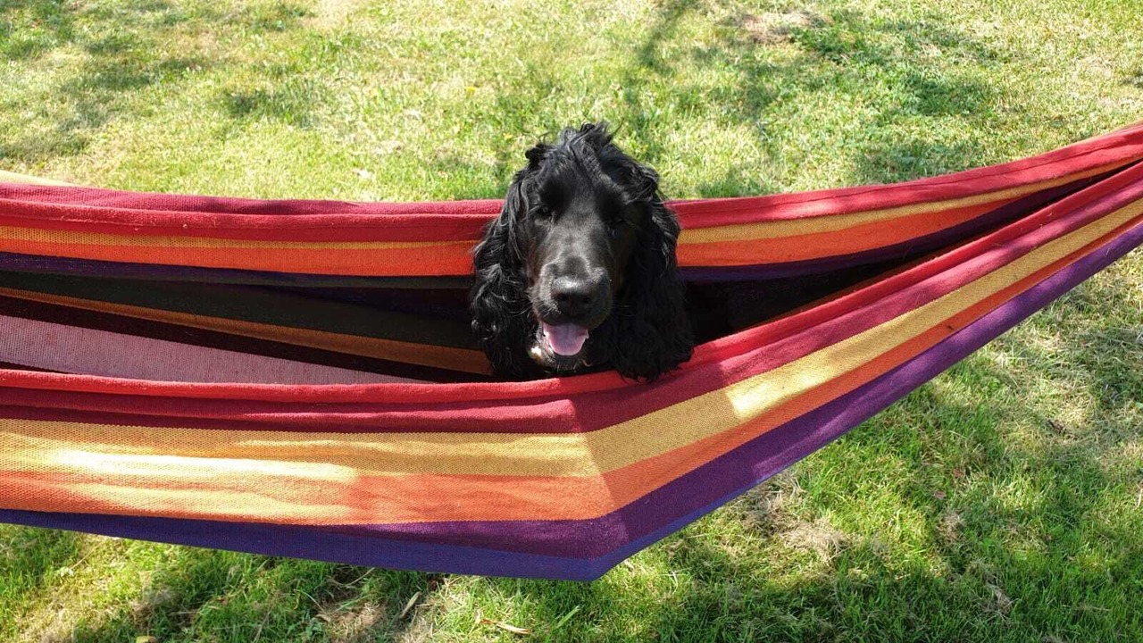 Photo of Others in Le Vieux-Cerier